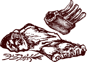 BBQ KIMURA イラスト